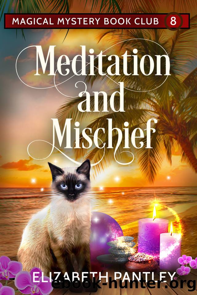 Meditation and Mischief: Magical Mystery Book Club #8 by Elizabeth Pantley