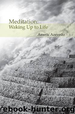 Meditation by Americ Azevedo