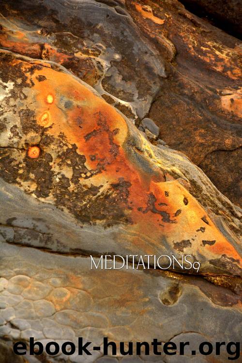 Meditations9 by Thanissaro Bhikkhu