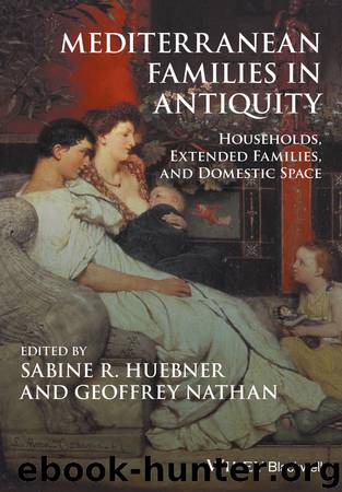 Mediterranean Families in Antiquity by Huebner Sabine R.; Nathan Geoffrey; & Geoffrey Nathan