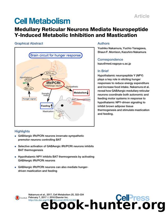 Medullary Reticular Neurons Mediate Neuropeptide Y-Induced Metabolic Inhibition and Mastication by Yoshiko Nakamura & Yuchio Yanagawa & Shaun F. Morrison & Kazuhiro Nakamura