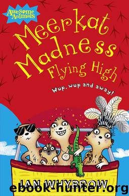 Meerkat Madness Flying High by Ian Whybrow