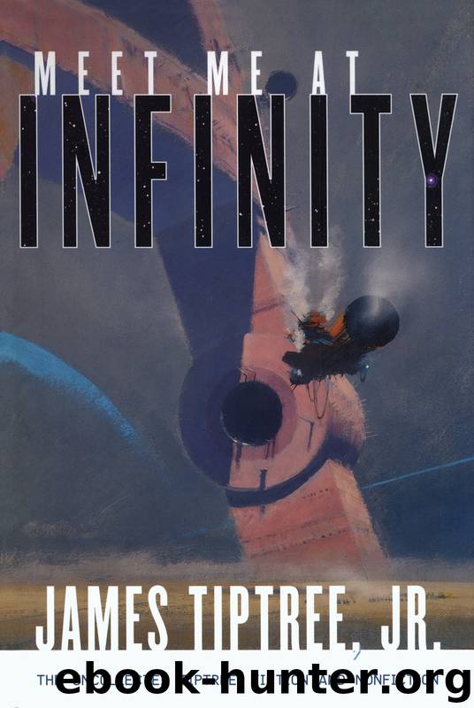Meet Me at Infinity by James Tiptree Jr