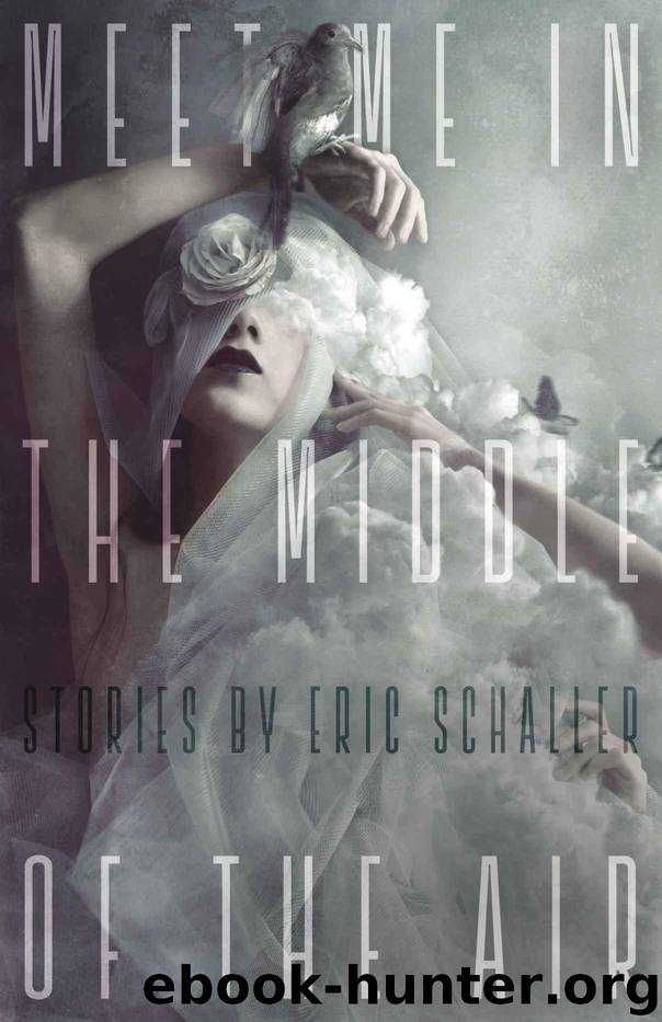 Meet Me in the Middle of the Air by Schaller Eric