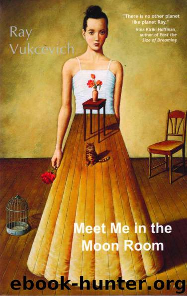 Meet Me in the Moon Room by Ray Vukcevich