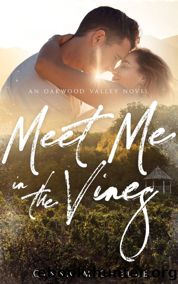 Meet Me in the Vines: An Oakwood Valley Series by Ginsa Michelle