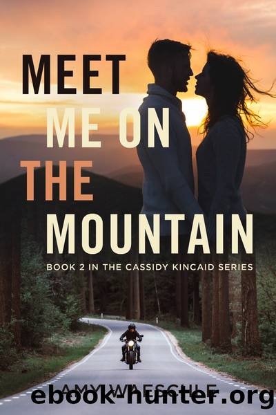 Meet Me on the Mountain by Amy Waeschle