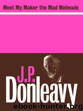Meet My Maker the Mad Molecule by J.P. Donleavy