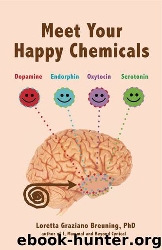 Meet Your Happy Chemicals: Dopamine, Endorphin, Oxytocin, Serotonin by Breuning Loretta Graziano