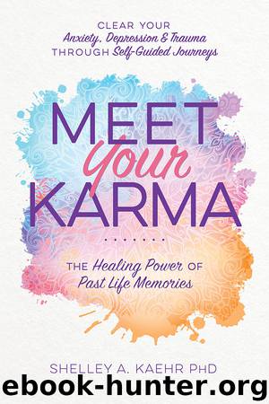 Meet Your Karma by Shelley A. Kaehr