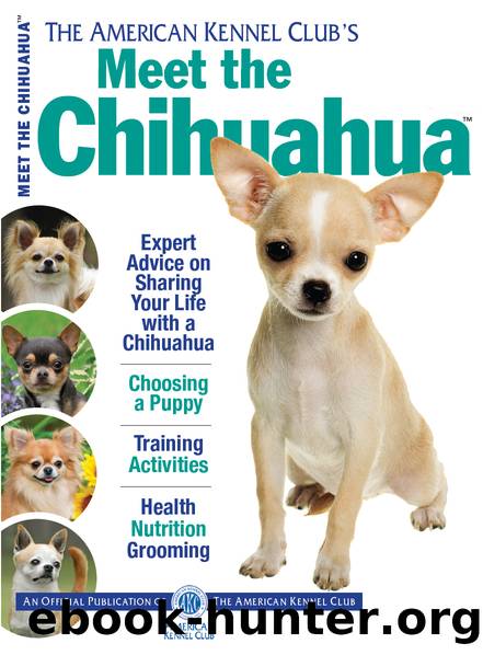 Meet the Chihuahua by American Kennel Club