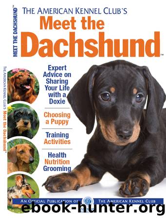 Meet the Dachshund by American Kennel Club