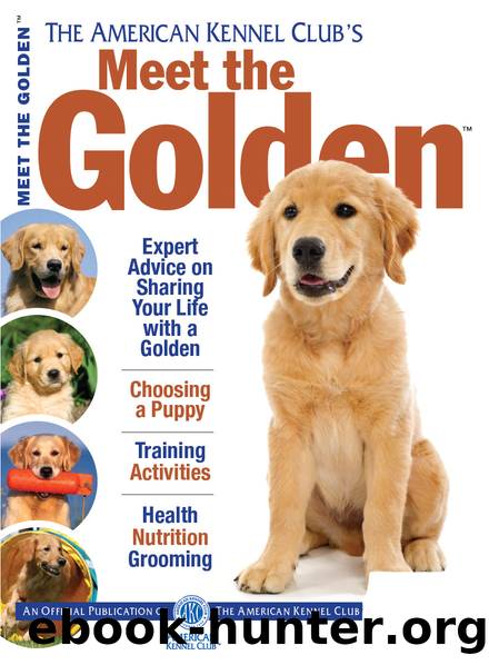 Meet the Golden by American Kennel Club