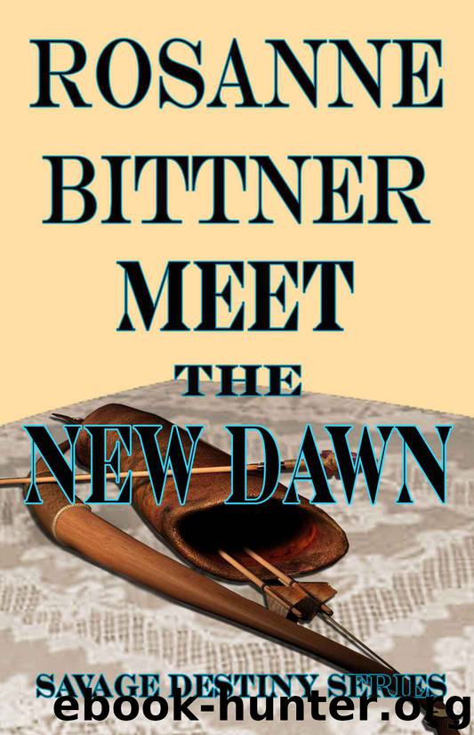 Meet the New Dawn by Rosanne Bittner
