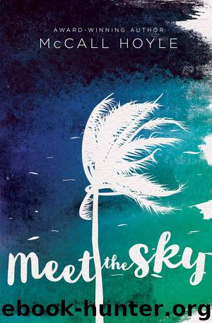Meet the Sky by McCall Hoyle