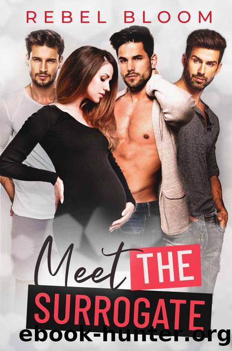 Meet the Surrogate: A Reverse Harem Romance by Rebel Bloom