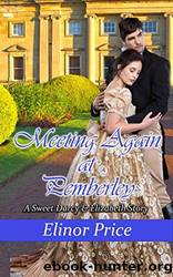Meeting Again at Pemberley: A Sweet Darcy & Elizabeth Story by Elinor Price