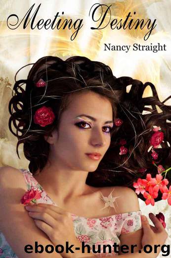 Meeting Destiny by Nancy Straight