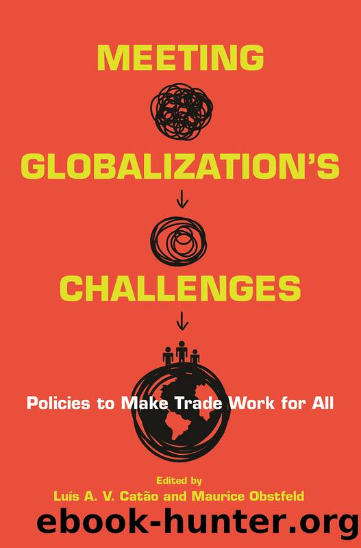 Meeting Globalization's Challenges by Luís Catão