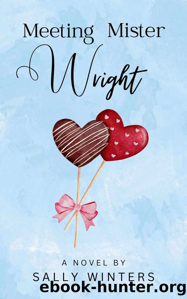 Meeting Mister Wright by Sally Winters