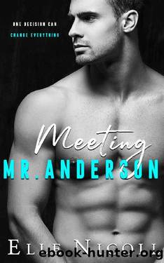 Meeting Mr Anderson (The Men Series Book 1) by Elle Nicoll