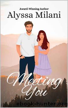 Meeting You by Alyssa Milani