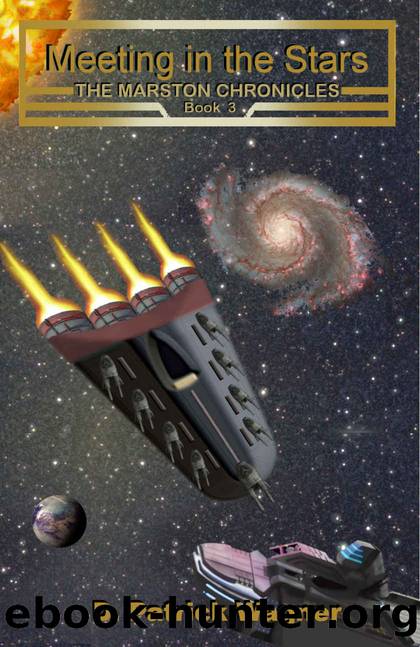 Meeting in the Stars (Marston Chronicles Book 3) by D. Patrick Wagner