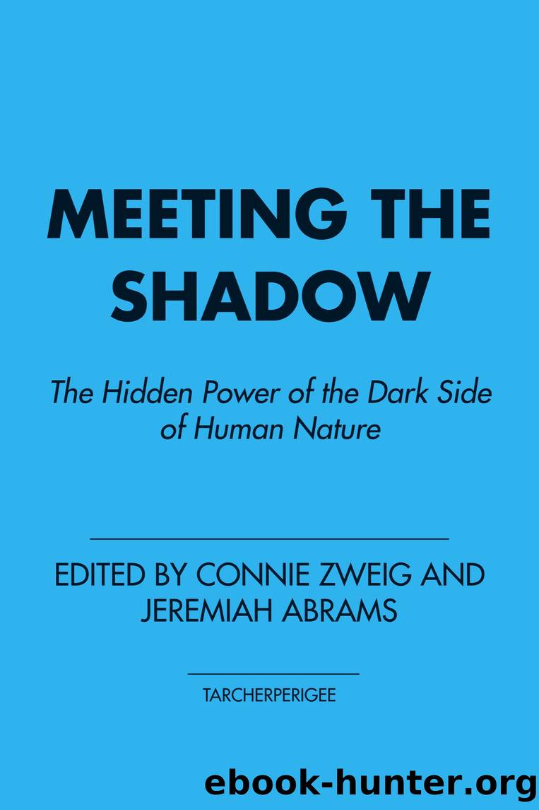 Meeting the Shadow by Connie Zweig