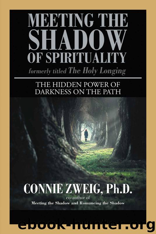 Meeting the Shadow of Spirituality: The Hidden Power of Darkness on the Path by Connie Zweig Ph.D
