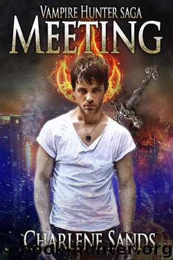 Meeting: Vampire Hunter Saga Book 1 by Sands Charlene