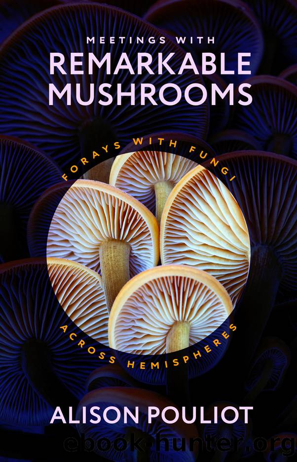 Meetings With Remarkable Mushrooms: Forays With Fungi Across Hemispheres by Alison Pouliot