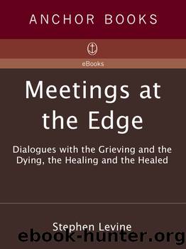 Meetings at the Edge by Stephen Levine