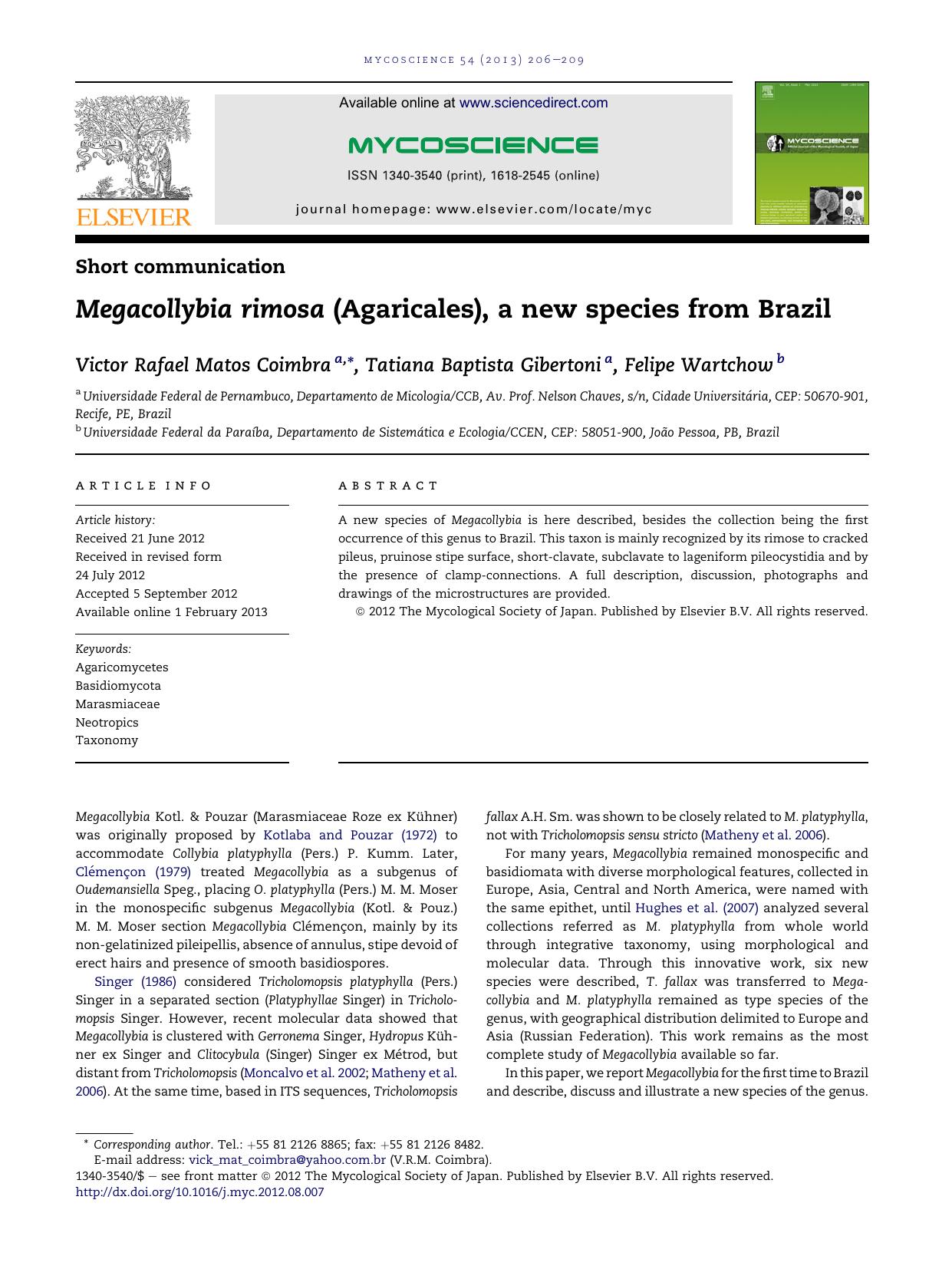 Megacollybia rimosa (Agaricales), a new species from Brazil by Victor Rafael Matos Coimbra & Tatiana Baptista Gibertoni & Felipe Wartchow