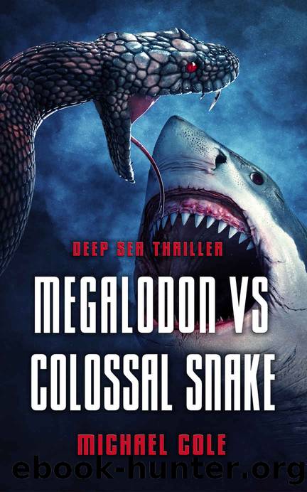 Megalodon VS Colossal Snake by Michael Cole
