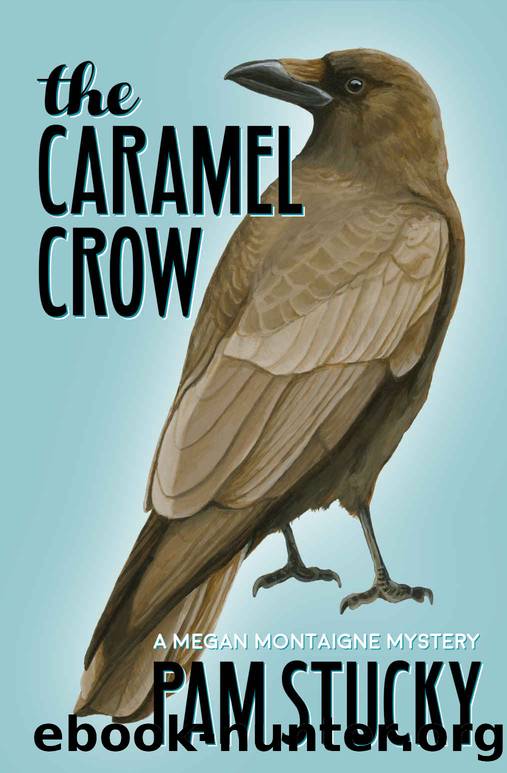 Megan Montaigne 03: The Caramel Crow by Pam Stucky