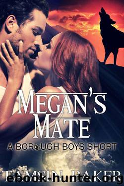 Megan's Mate (The Borough Boys Book 4) by Tamsin Baker