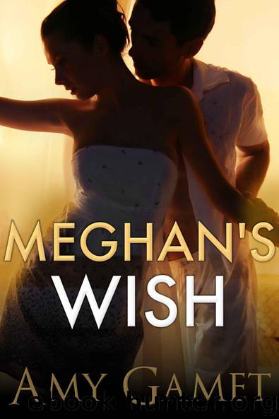 Meghan's Wish (Love and Danger) by Gamet Amy