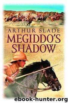 Megiddo's Shadow by Arthur Slade