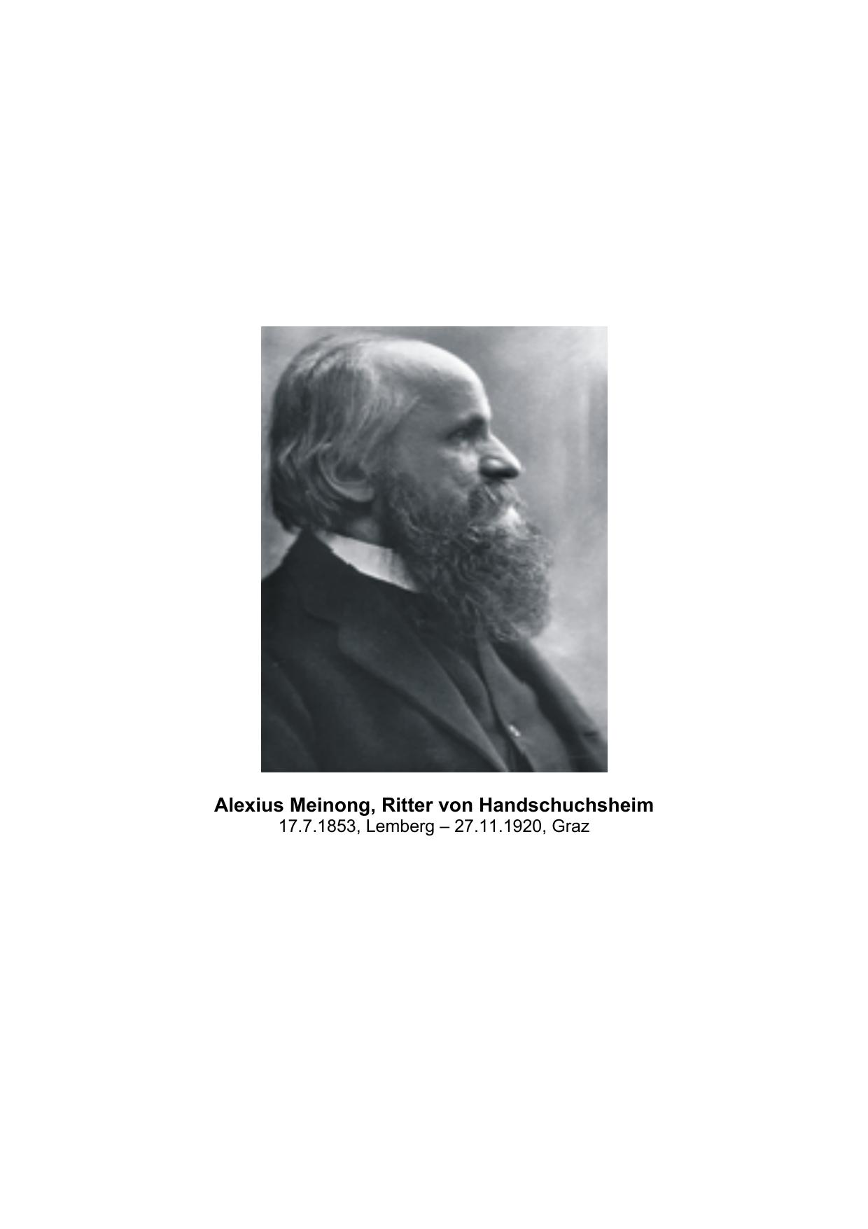 Meinongian Issues in Contemporary Italian Philosophy by Alfred Schramm (editor)