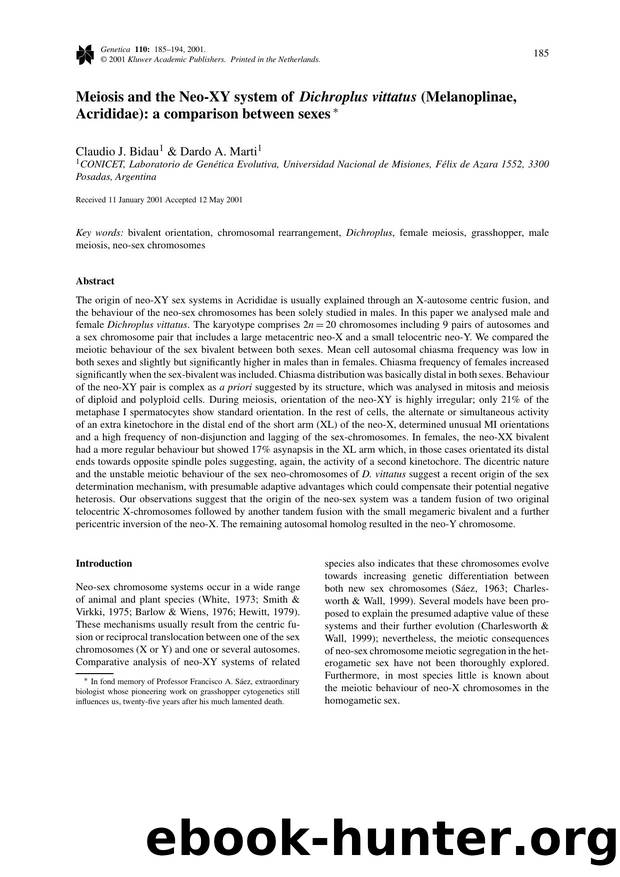 Meiosis and the Neo- XY system of Dichroplus vittatus (Melanoplinae, Acrididae): a comparison between sexes by Unknown