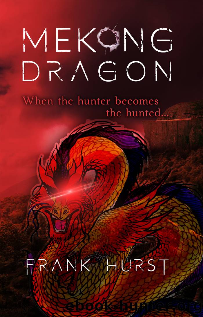 Mekong Dragon by Frank Hurst