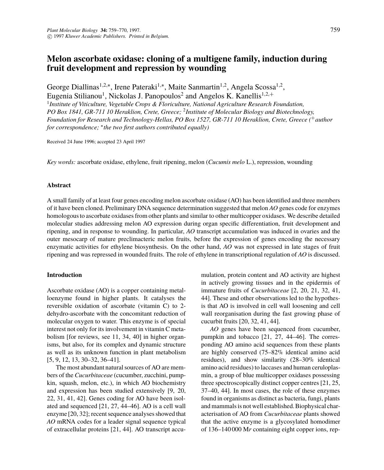 Melon ascorbate oxidase: cloning of a multigene family, induction during fruit development and repression by wounding by Unknown