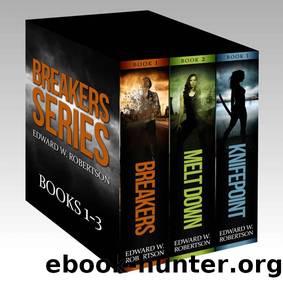 Meltdown by Edward W. Robertson