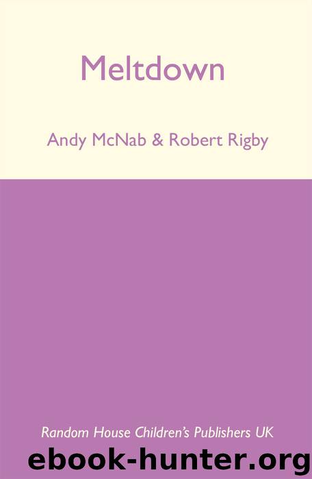Meltdown by Robert Rigby