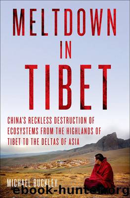 Meltdown in Tibet by Michael Buckley