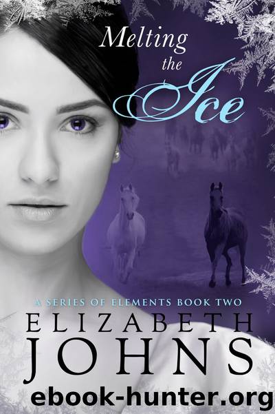 Melting the Ice by Elizabeth Johns