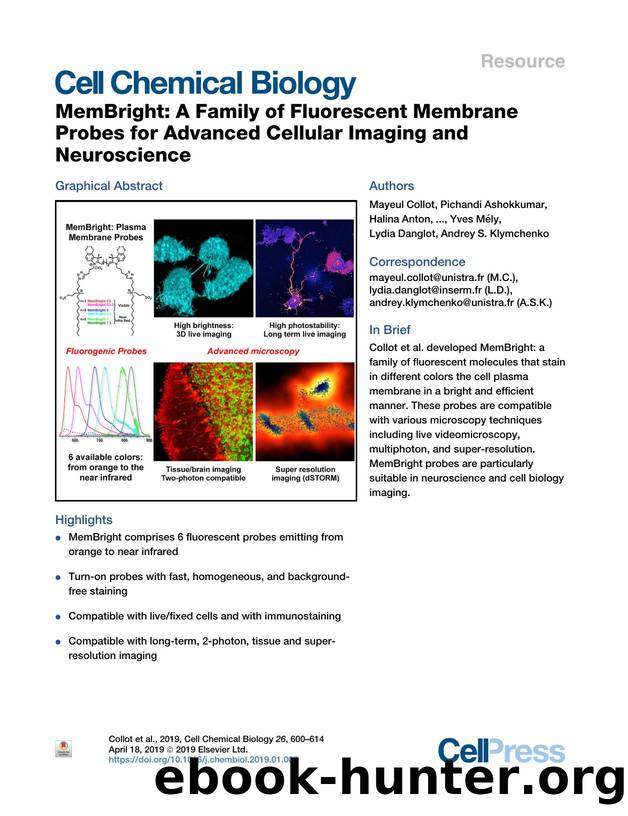 MemBright: A Family of Fluorescent Membrane Probes for Advanced Cellular Imaging and Neuroscience by unknow