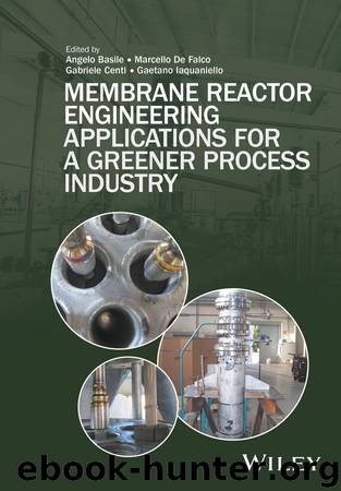 Membrane Reactor Engineering by unknow