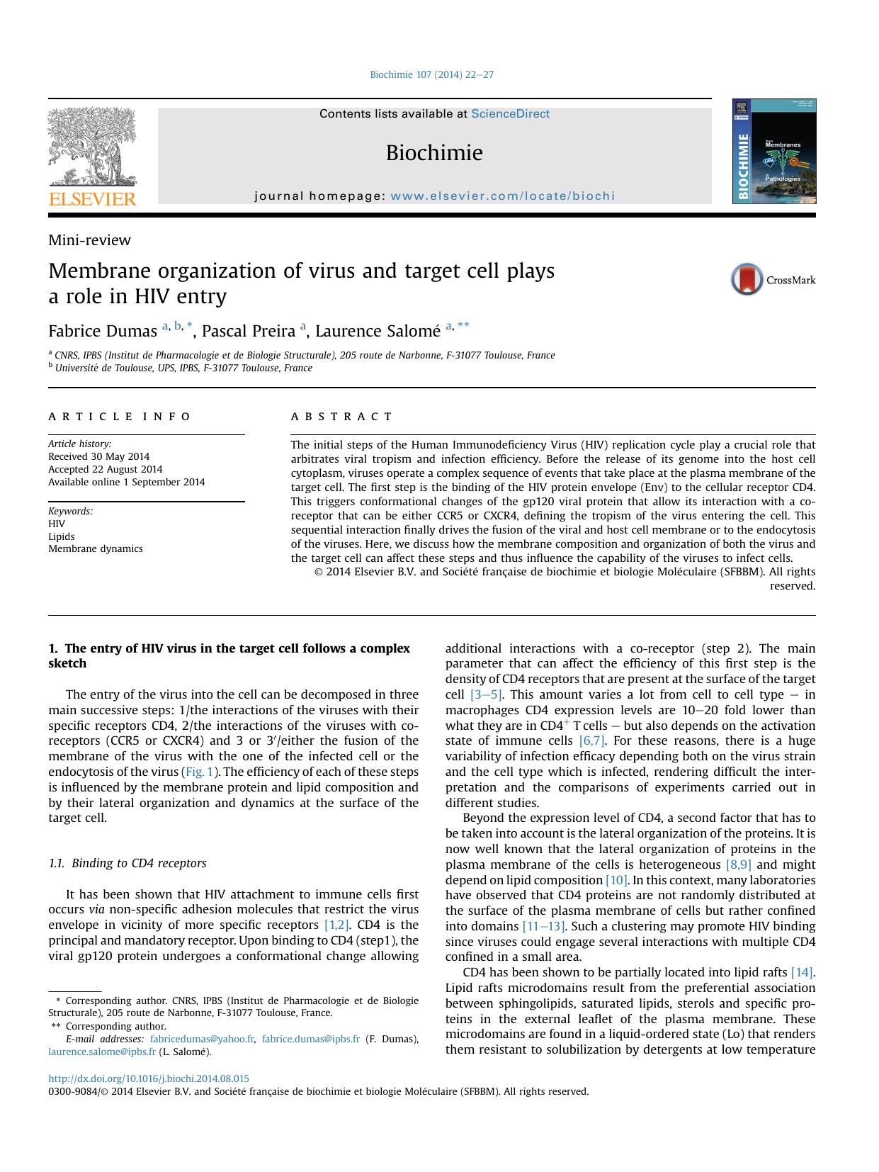 Membrane organization of virus and target cell plays a role in HIV entry by Fabrice Dumas & Pascal Preira & Laurence Salomé