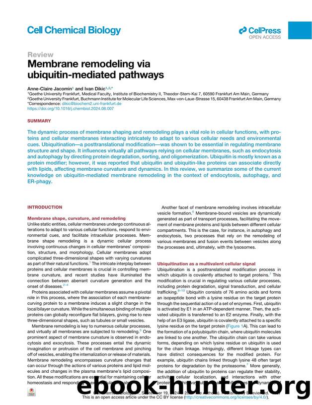Membrane remodeling via ubiquitin-mediated pathways by Anne-Claire Jacomin & Ivan Dikic